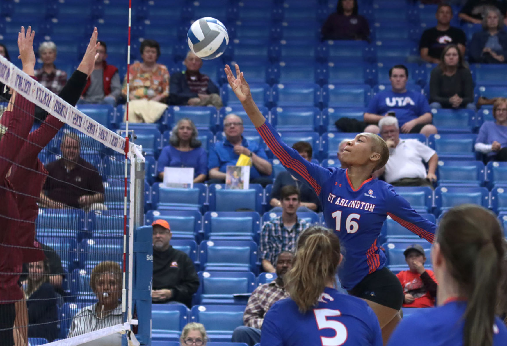 Mavericks dive into Sun Belt Championships